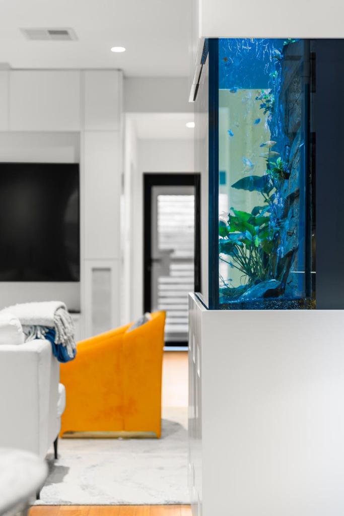 Luxurious 3-Story Terrace in Potts Point photo 4