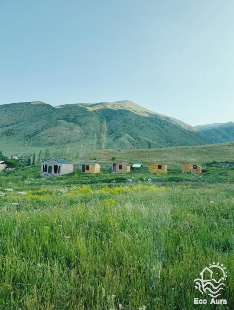 Eco Aura (rest zone / Sevan / Отдых) photo 4