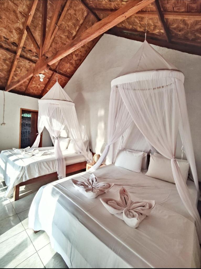 Cassabonelly Room Type - Budget Double Room