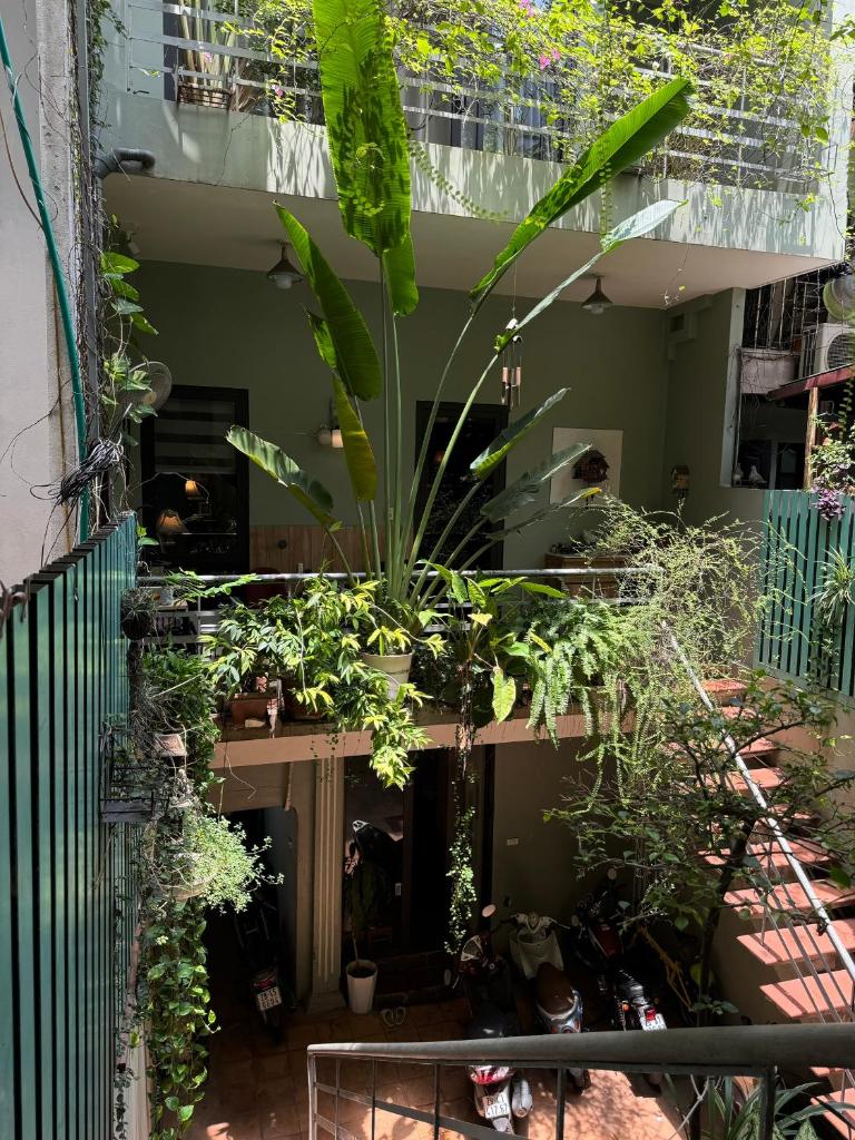 Farm- Friendly-SUPER LOCATION-Old Quarter -NexflixTV