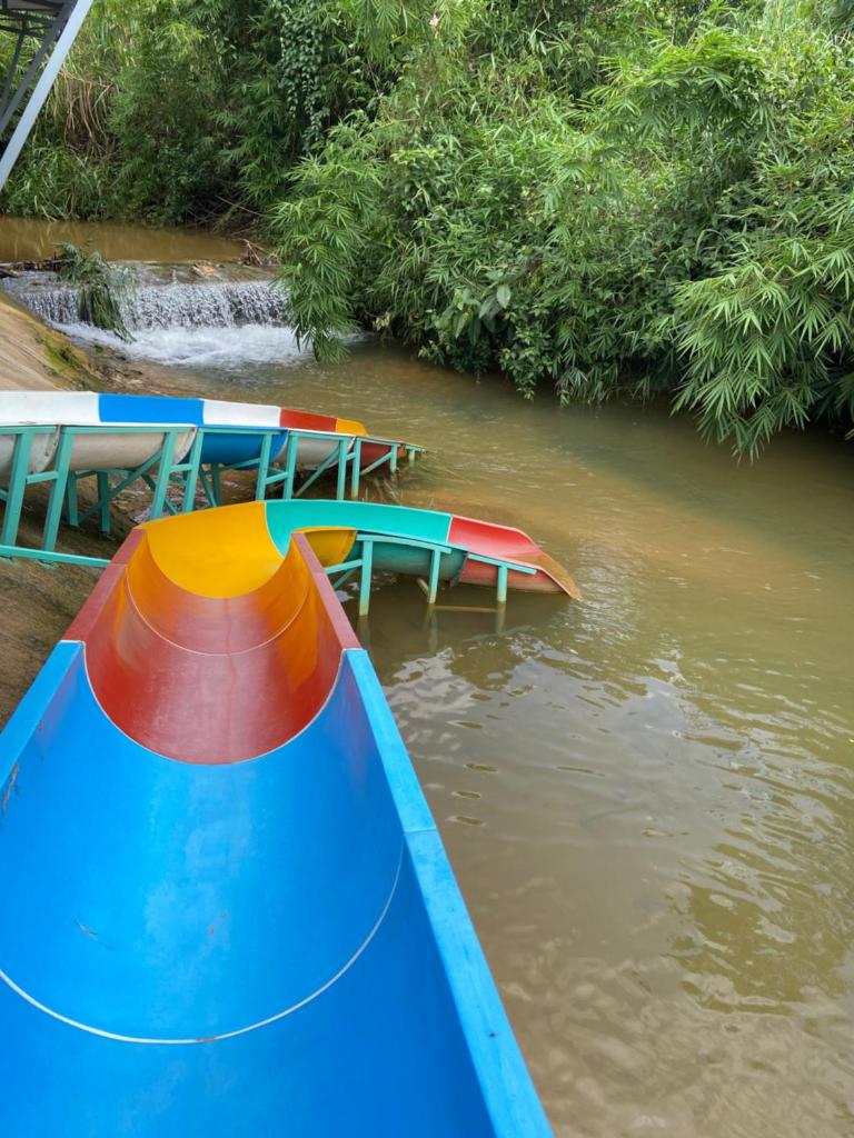 Gạo hạt dẻ homestay