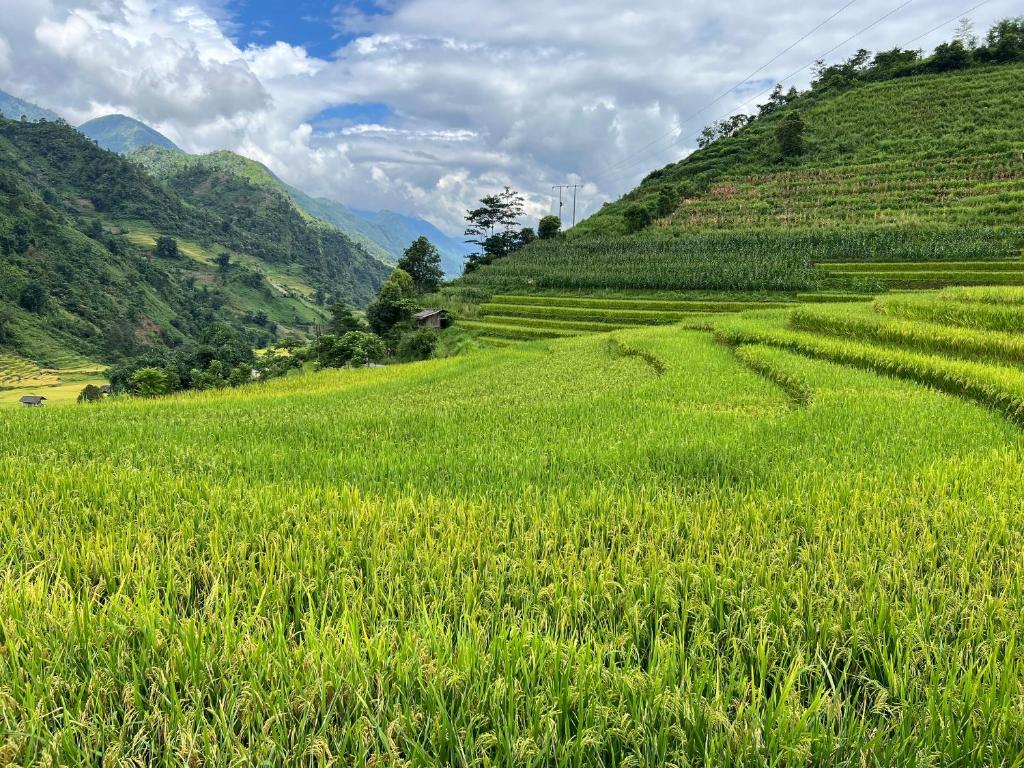 Field House SaPa - Nậm Cang