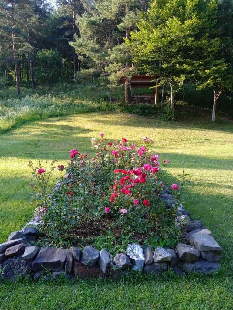Palučak 30 photo 3