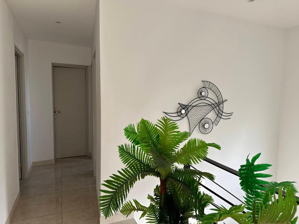 Villa saona plage