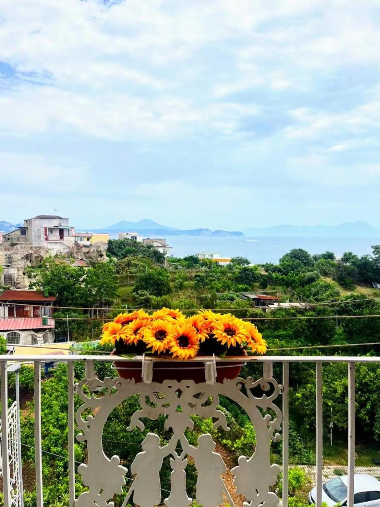 Casa Nina-Bacoli Elegant & View Room Type - One-Bedroom Apartment