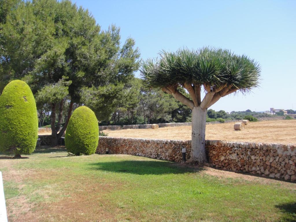 Apartamentos Piscis photo 3