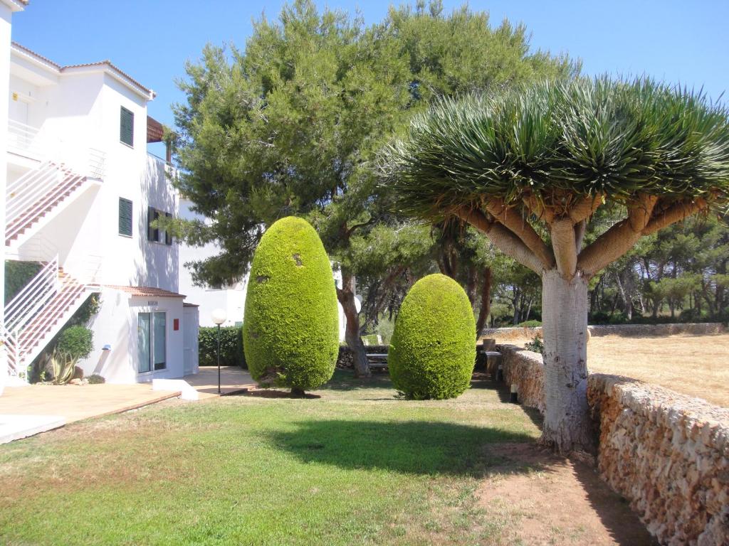 Apartamentos Piscis photo 4