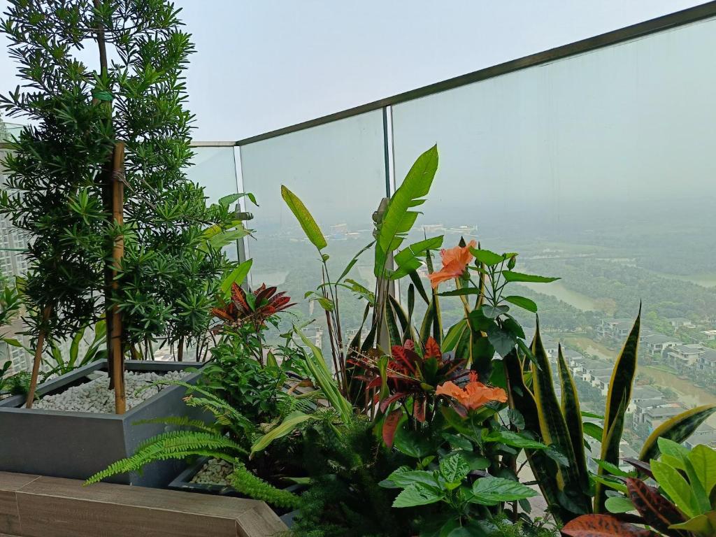 Twiny Ecopark Sol Forest Apartment