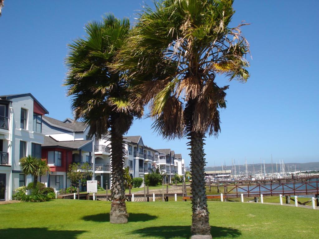 Laguna Grove 14