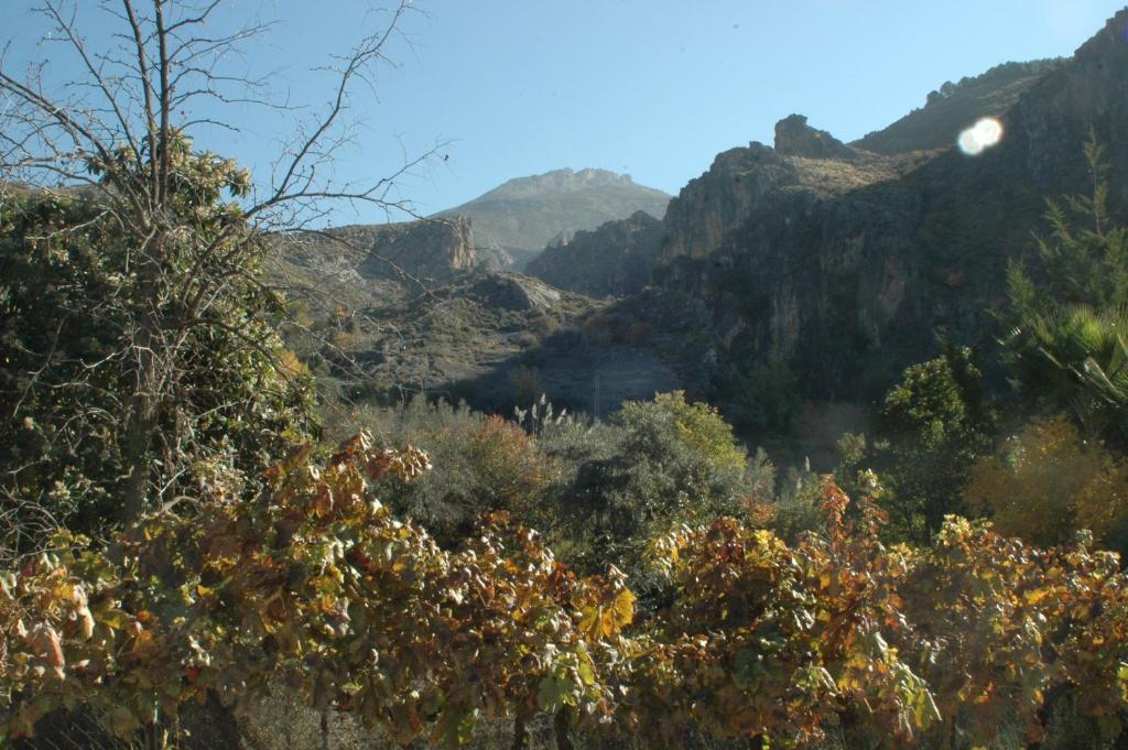 Cortijo Los Cahorros Sierra Nevada photo 3