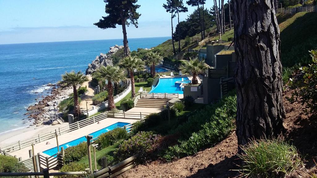 Algarrobo Apartment photo 4