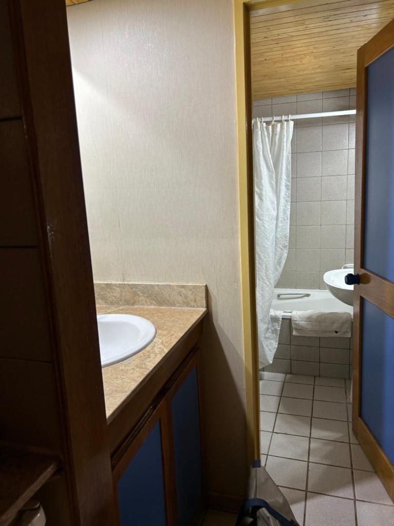 Apartamento, Las Leñas apart Géminis photo 3