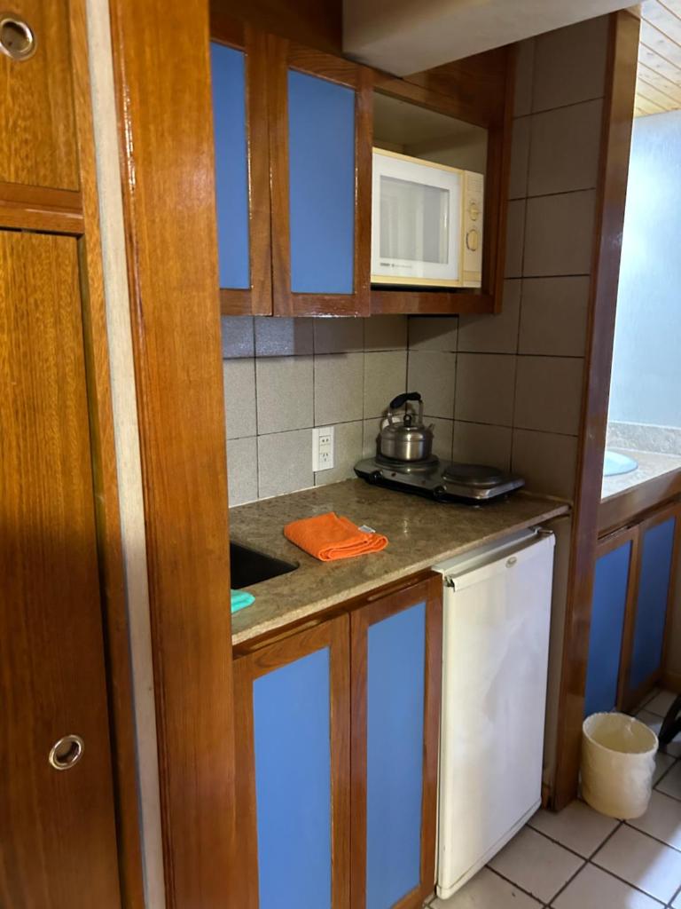 Apartamento, Las Leñas apart Géminis photo 4