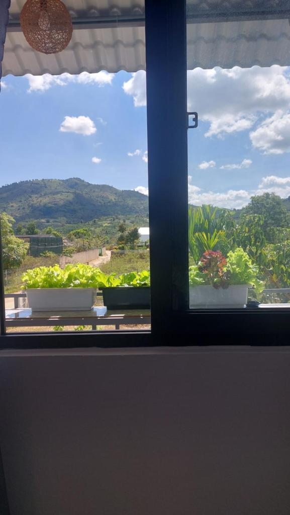 Family homestay Bảo Lộc