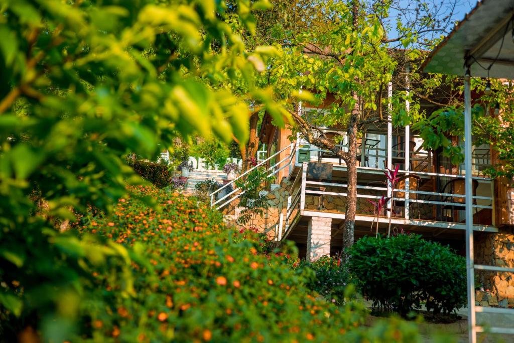 Homestay Wooden House - Nhà Gỗ Mộc Châu