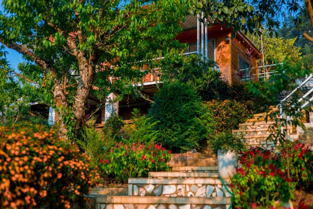 Homestay Wooden House - Nhà Gỗ Mộc Châu