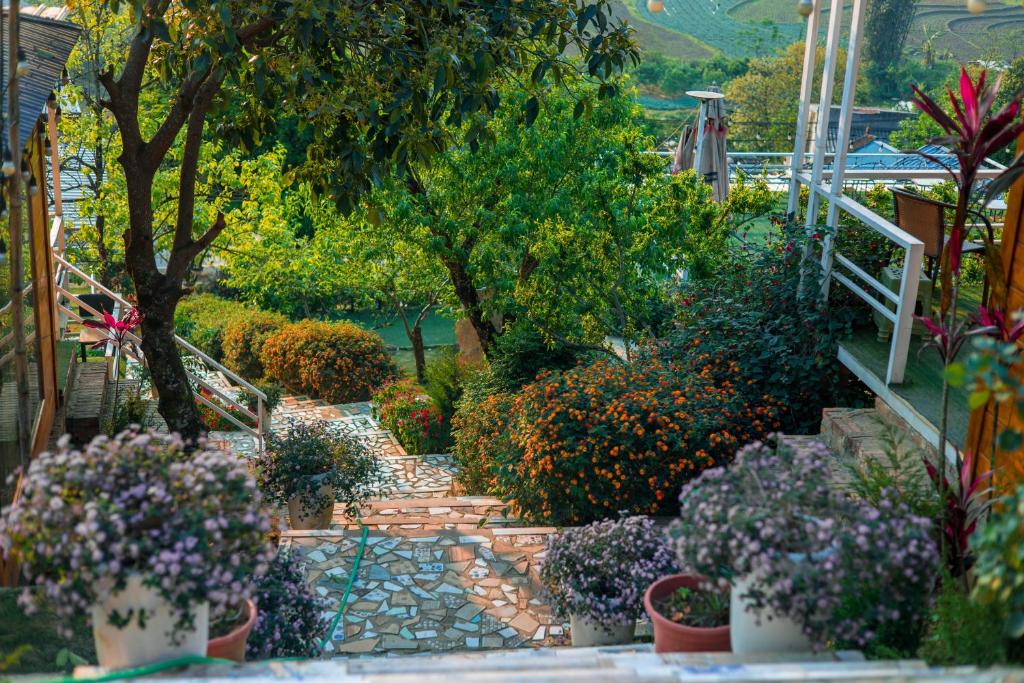 Homestay Wooden House - Nhà Gỗ Mộc Châu