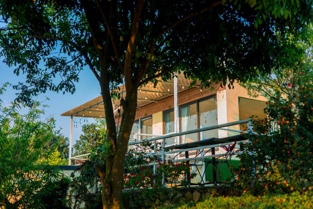 Homestay Wooden House - Nhà Gỗ Mộc Châu