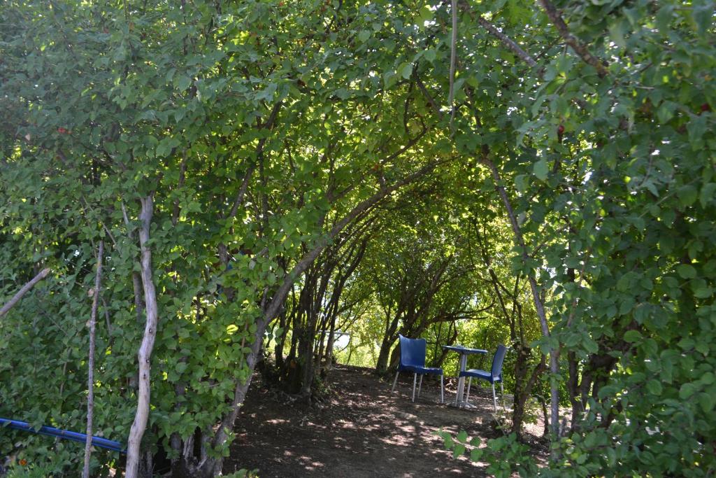 Camping & Guest House Murataj photo 1