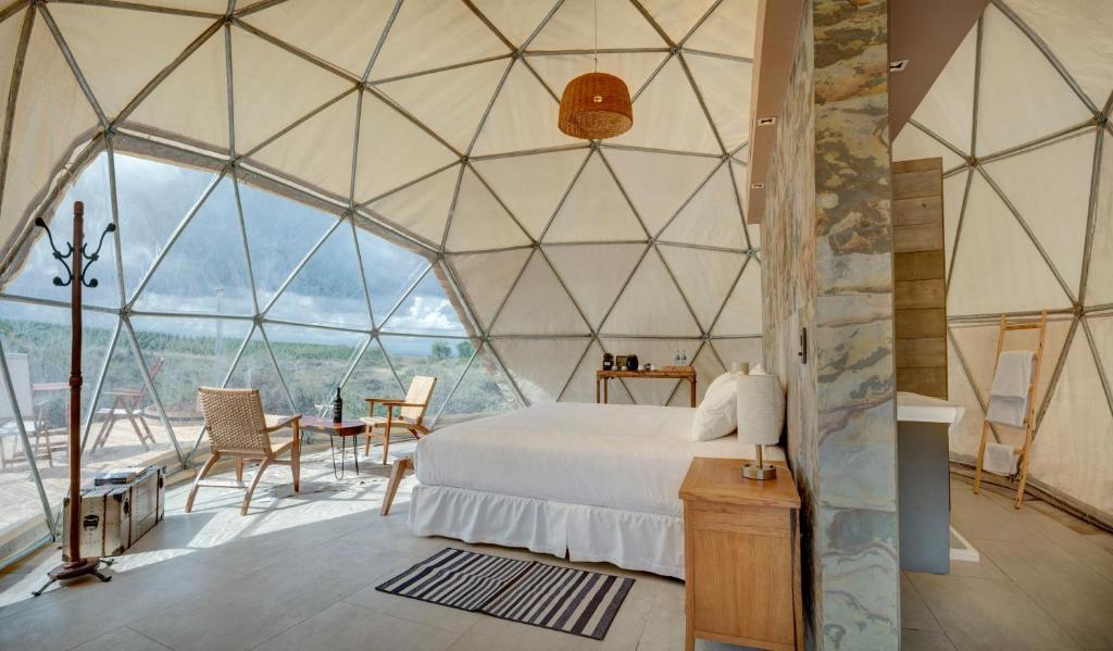 Bodega Alpasión Lodge y Glamping photo 2