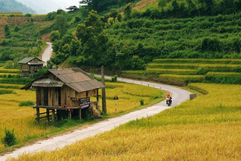 Tả Mẩy Homestay