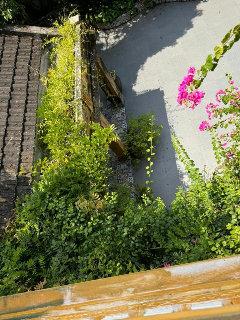 Madame Hien Homestay