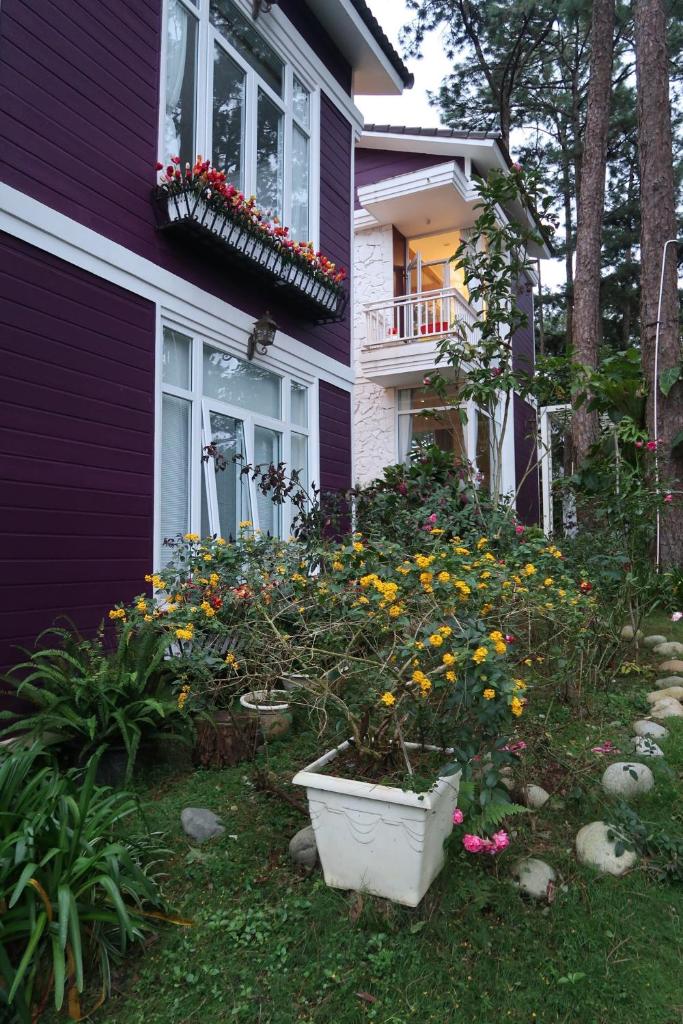 Violet villa Đà Lạt