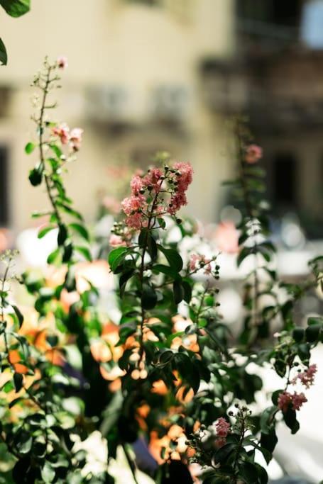 Cozy home in Old Town Hanoi