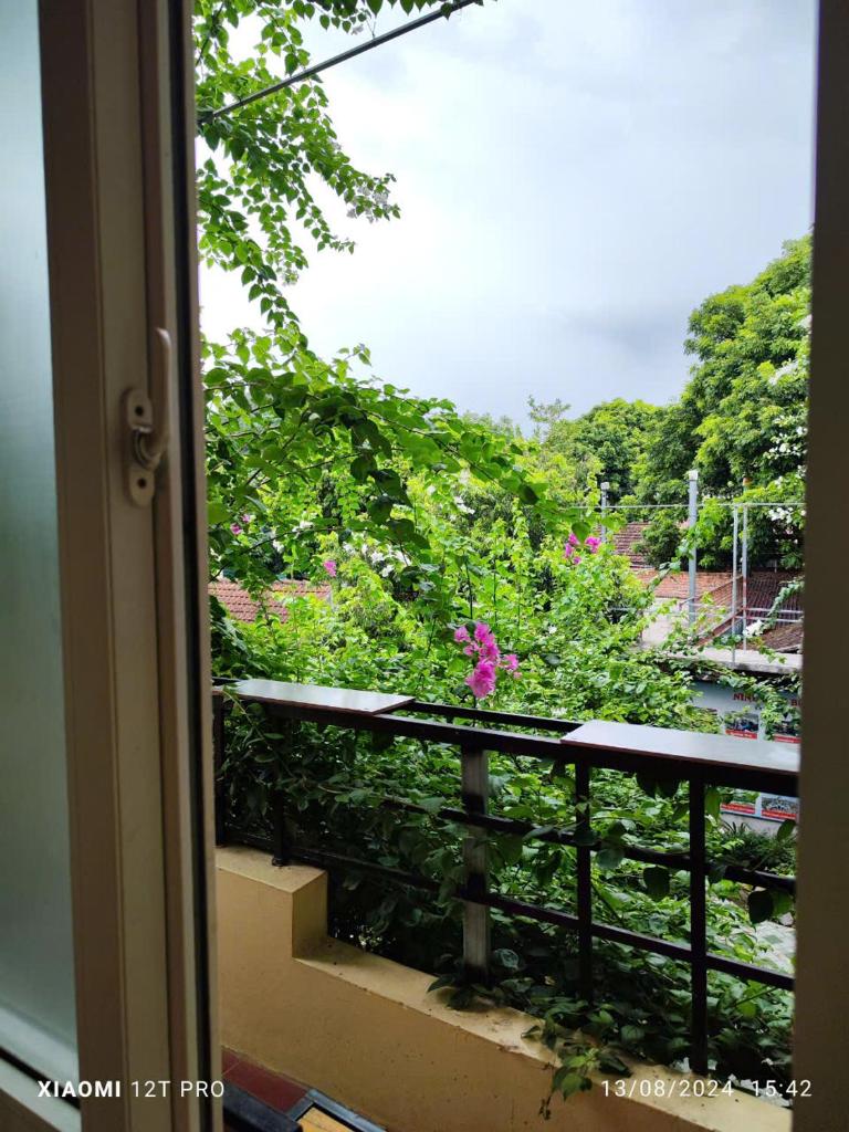 Trang An NP Homestay