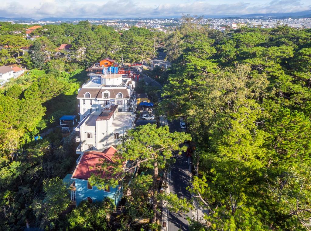 TP Pineview Dalat Hotel