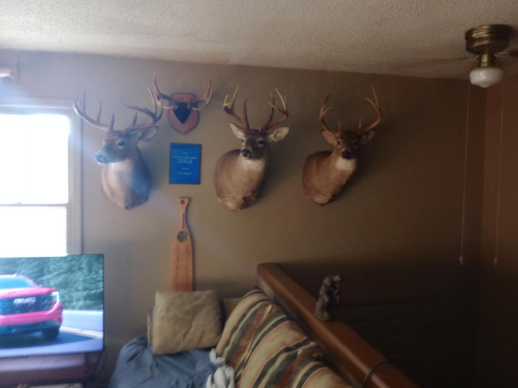 Kevins spare bedroom image