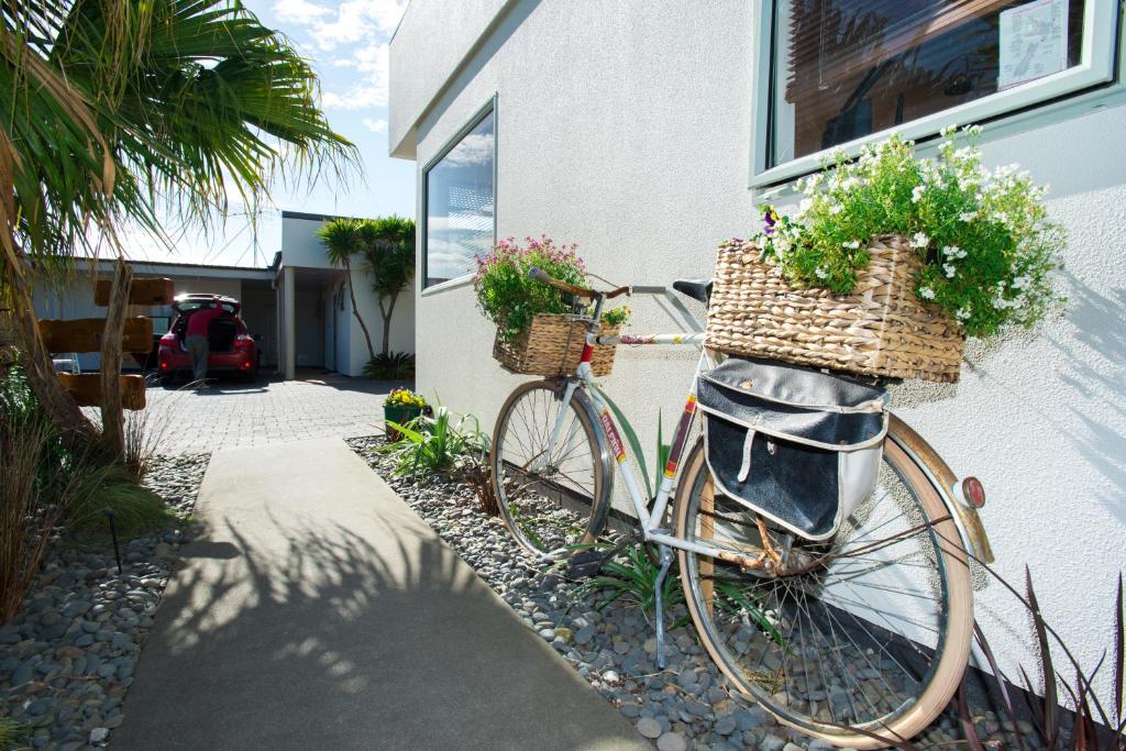 Alfresco Motor Lodge photo 4