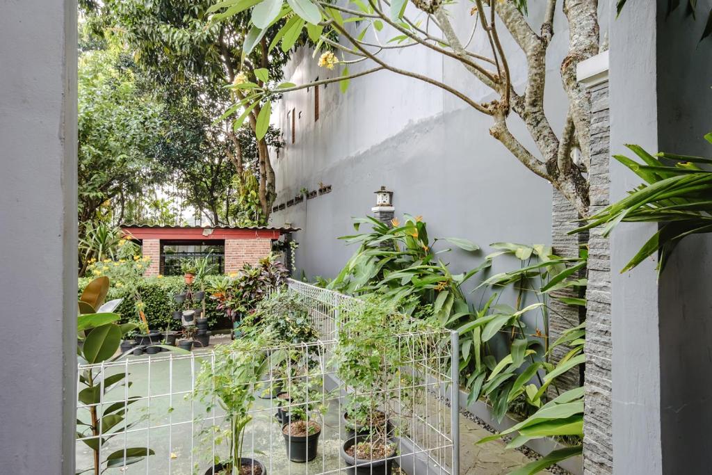 Calma Coliving at Bintaro, Tangerang Selatan photo 4