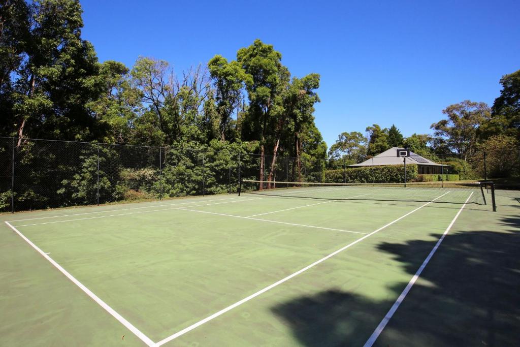 Red Hill - Relax and Rejuvenate photo 2