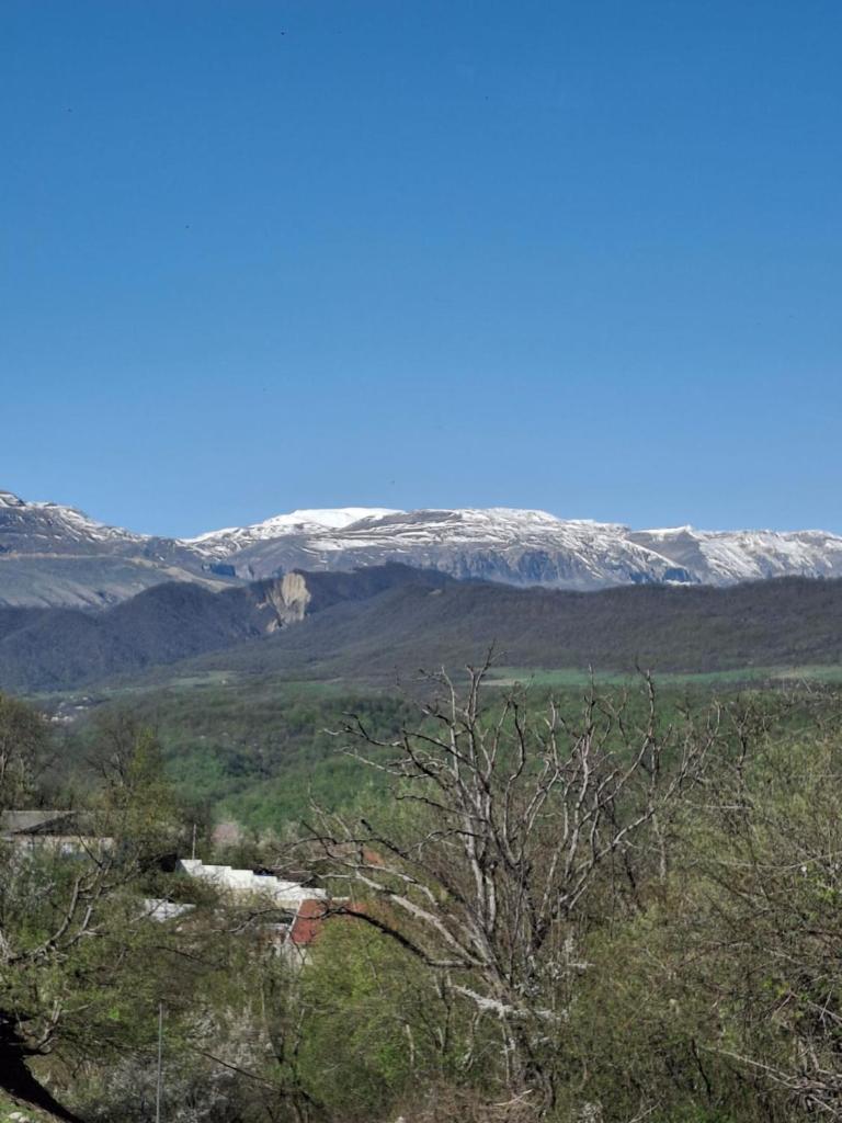 Rustam home photo 4