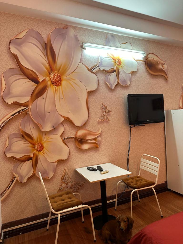 sawa hostel in city center