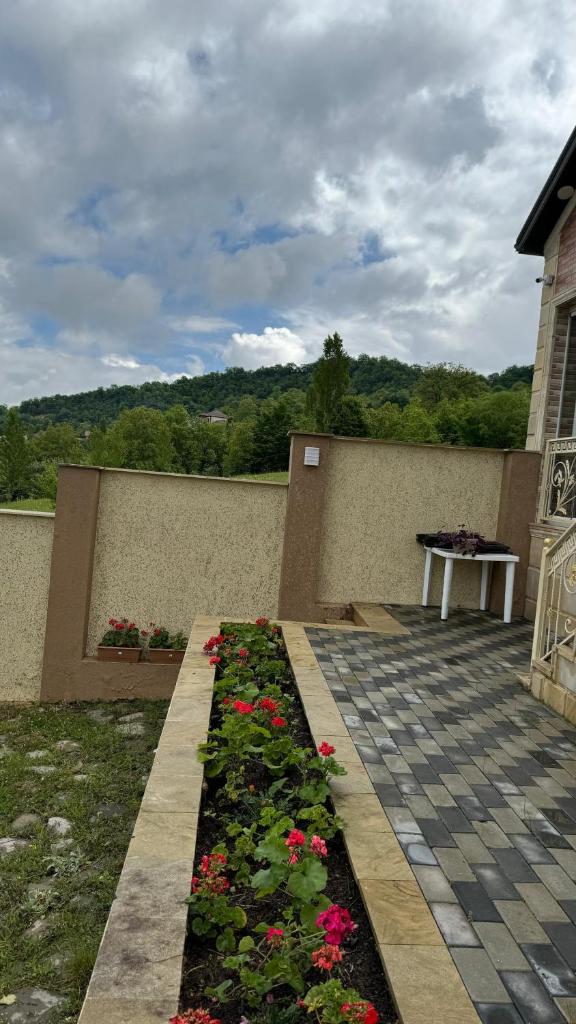 Qubada gunluk dağ kiraye evi photo 4