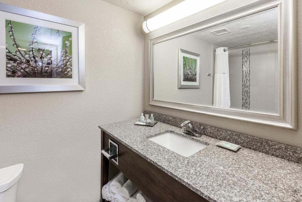 Holiday Inn Hotel & Suites Oklahoma City North, an IHG Hotel photo 4