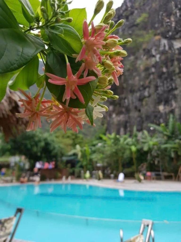 Hoalu Backpacker Homestay