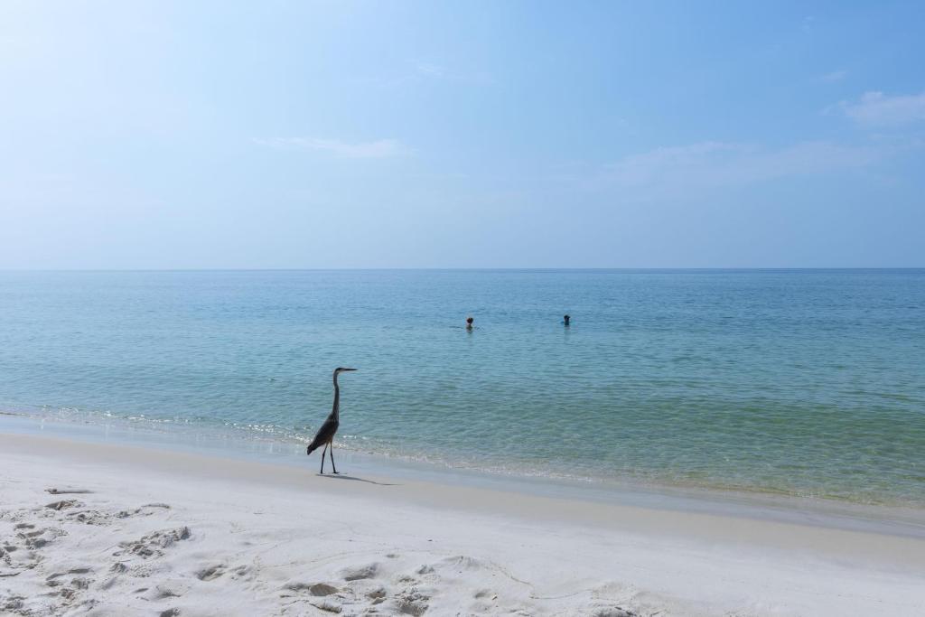 Surf Side Shores 1402 image