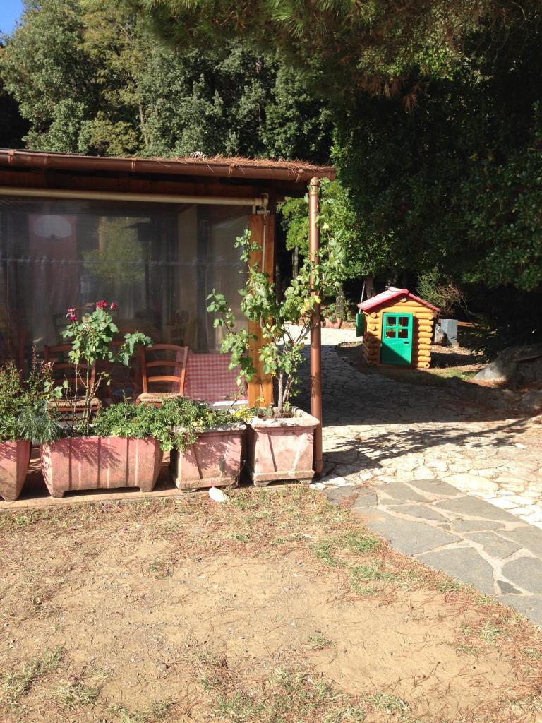 Agriturismo "La Rosa Canina" photo 1