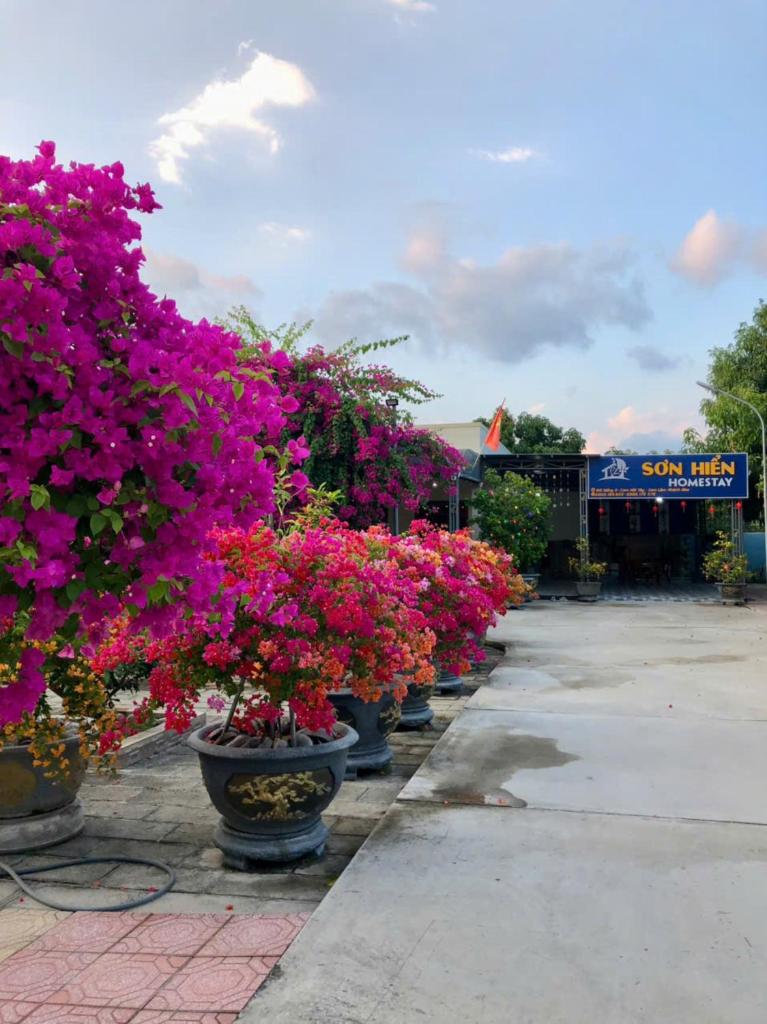 Sơn Hiển Homestay