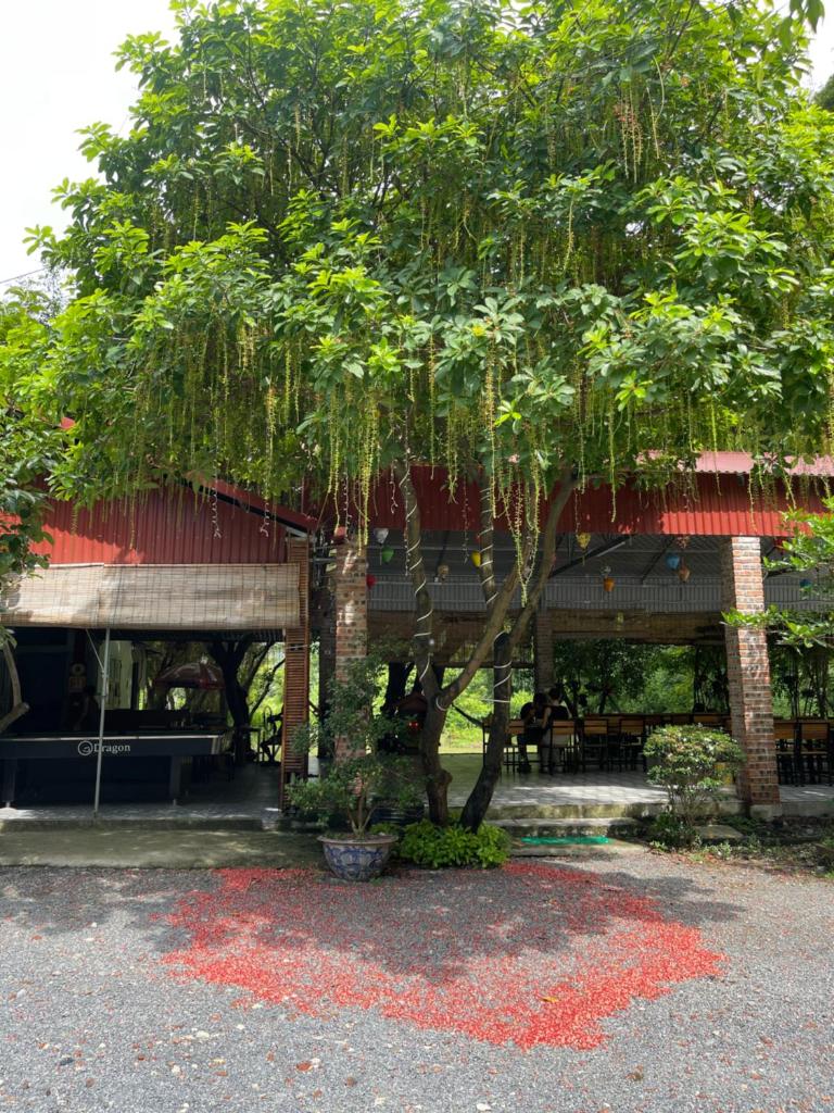 Trang An Memory Homestay