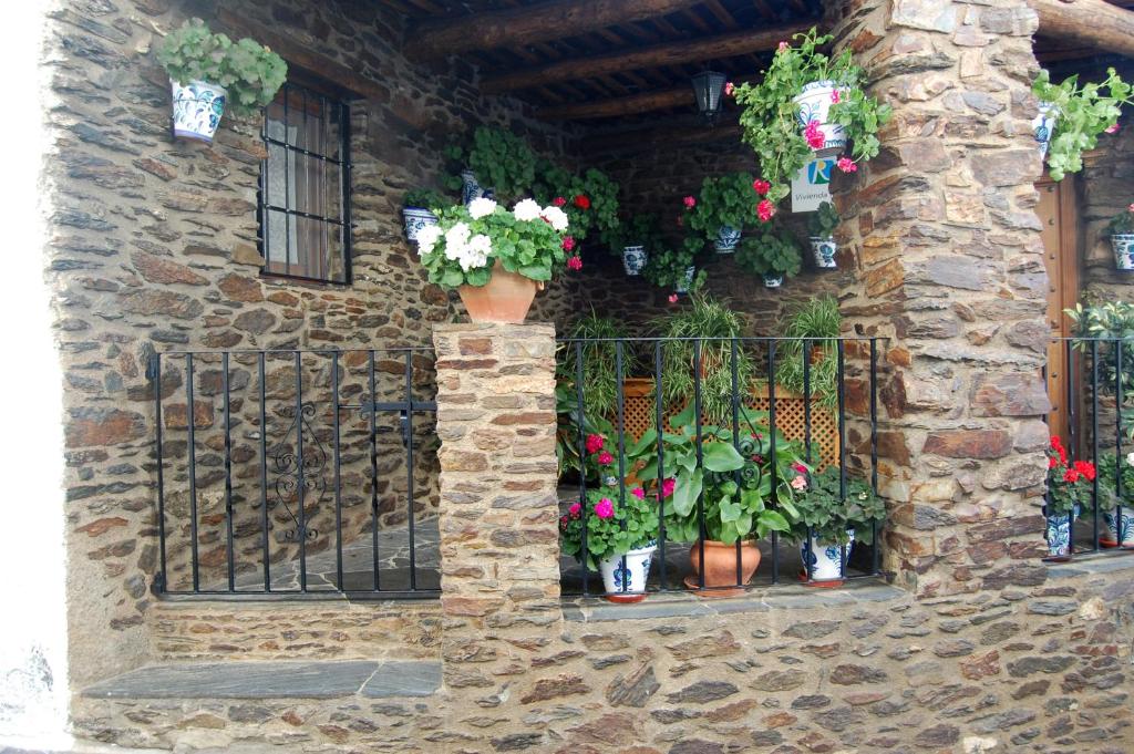 Casa Fina photo 3