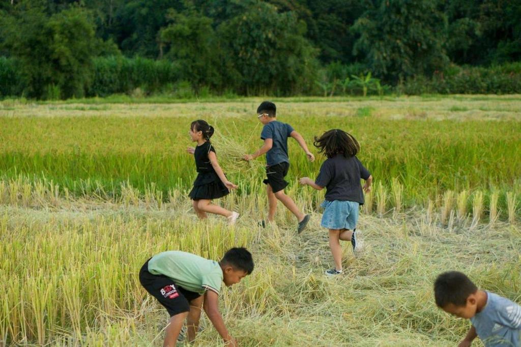 ba ho green field homestay