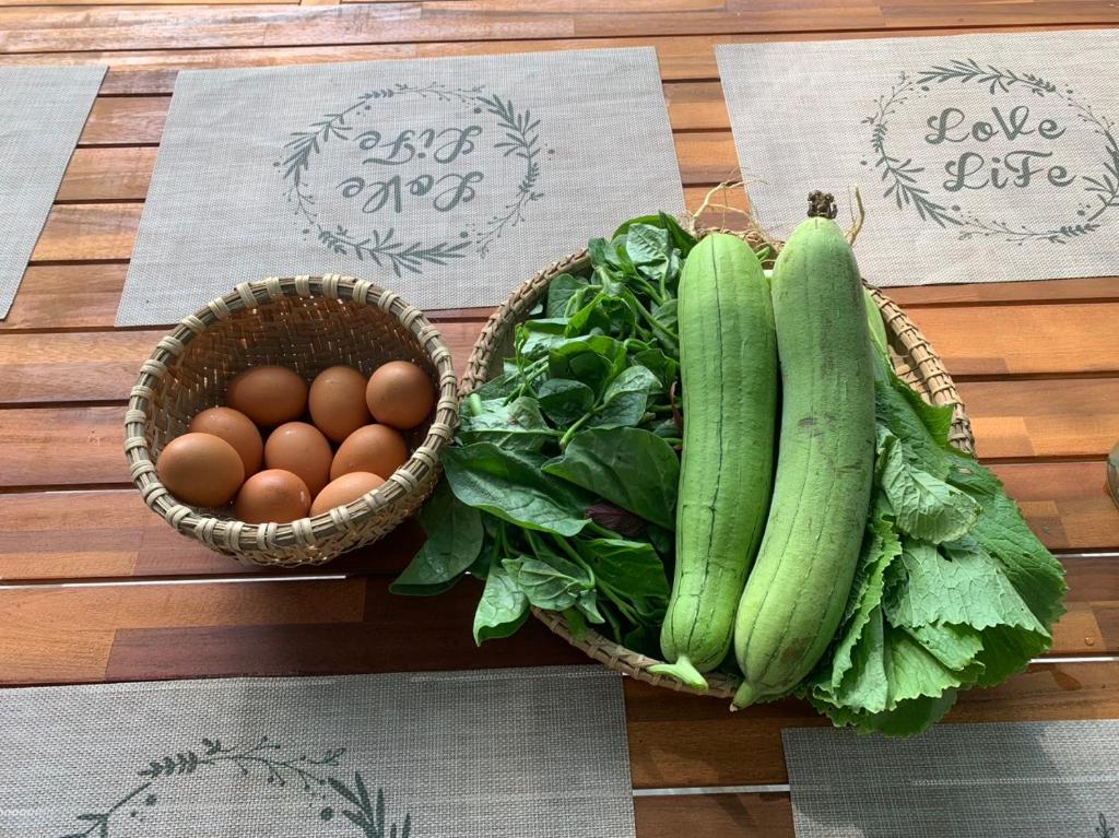 ba ho green field homestay