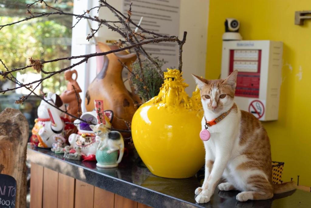 Hoi An Fairy Garden Villa