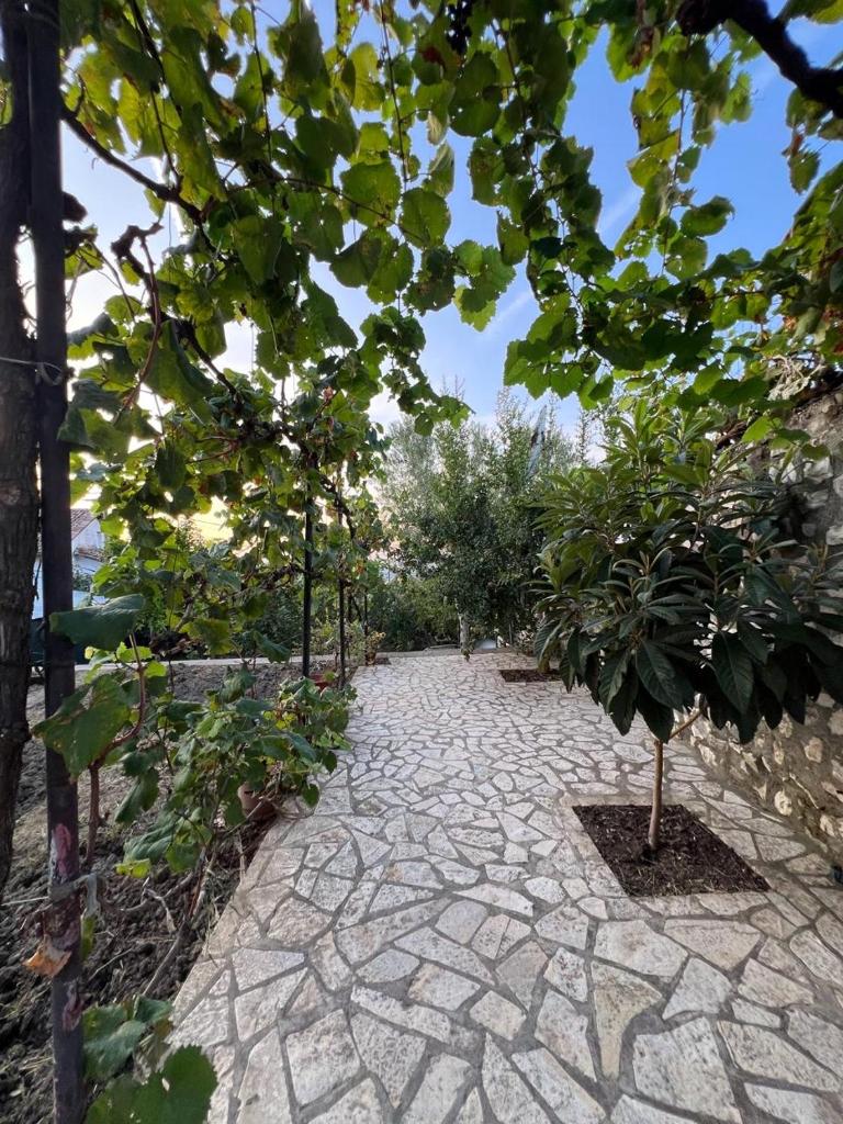 Pjetri House photo 3