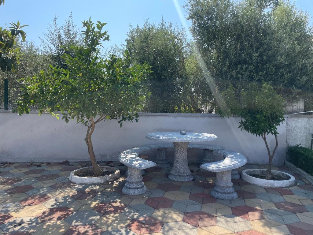 Star House photo 4