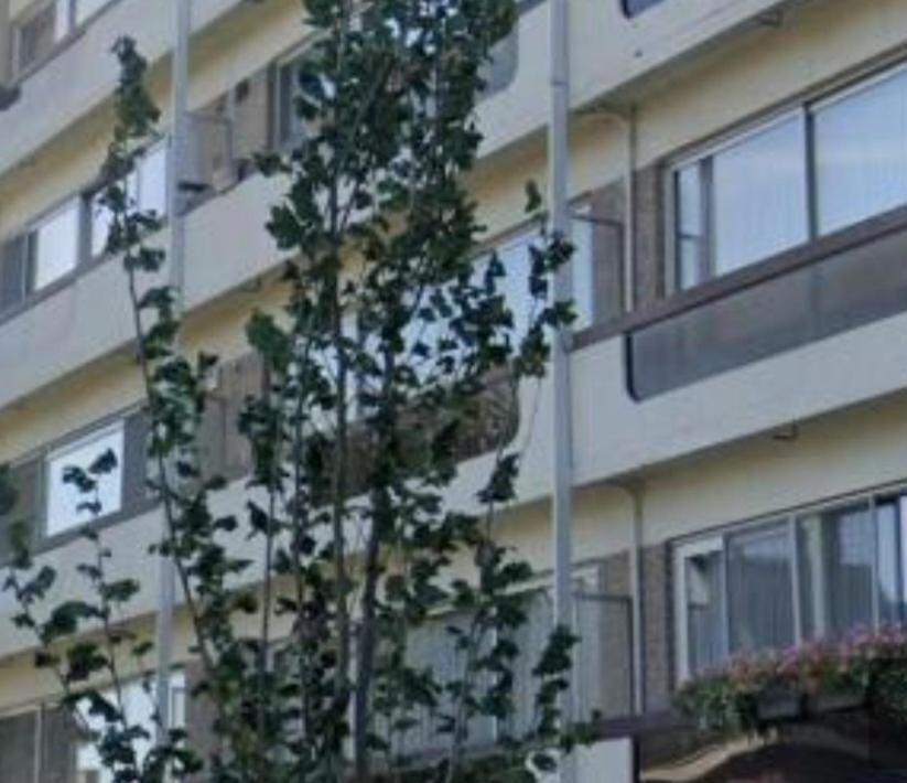 Gezellig appartement Donkvijver Beveren 2 personen photo 4